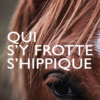 Qui s’y frotte s’hippique