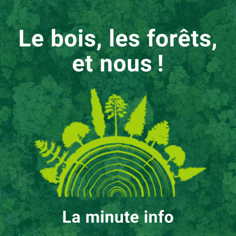 Le bois, les forêts, et nous !