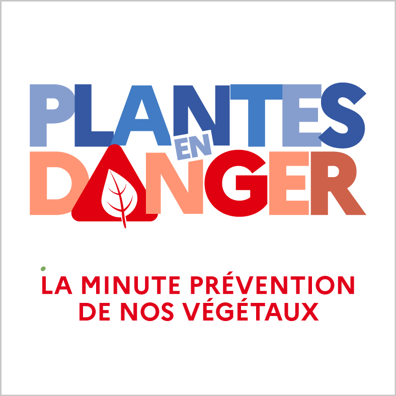 Arrière-plan